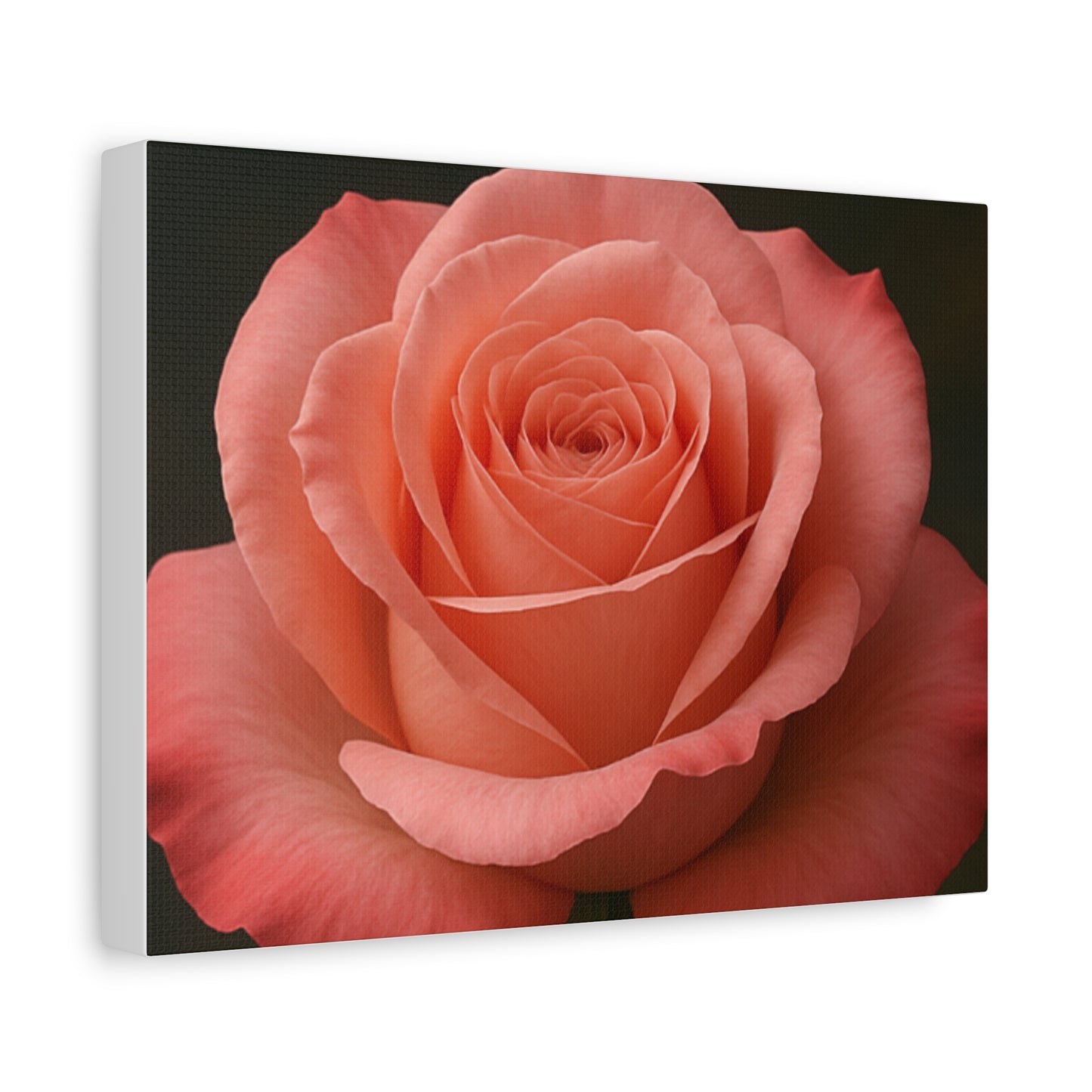 Elegant Rose Canvas Art Print, Floral Wall Decor, Home Interior Decoration, Gift for Her, Mother's Day Gift, Anniversary Decoration