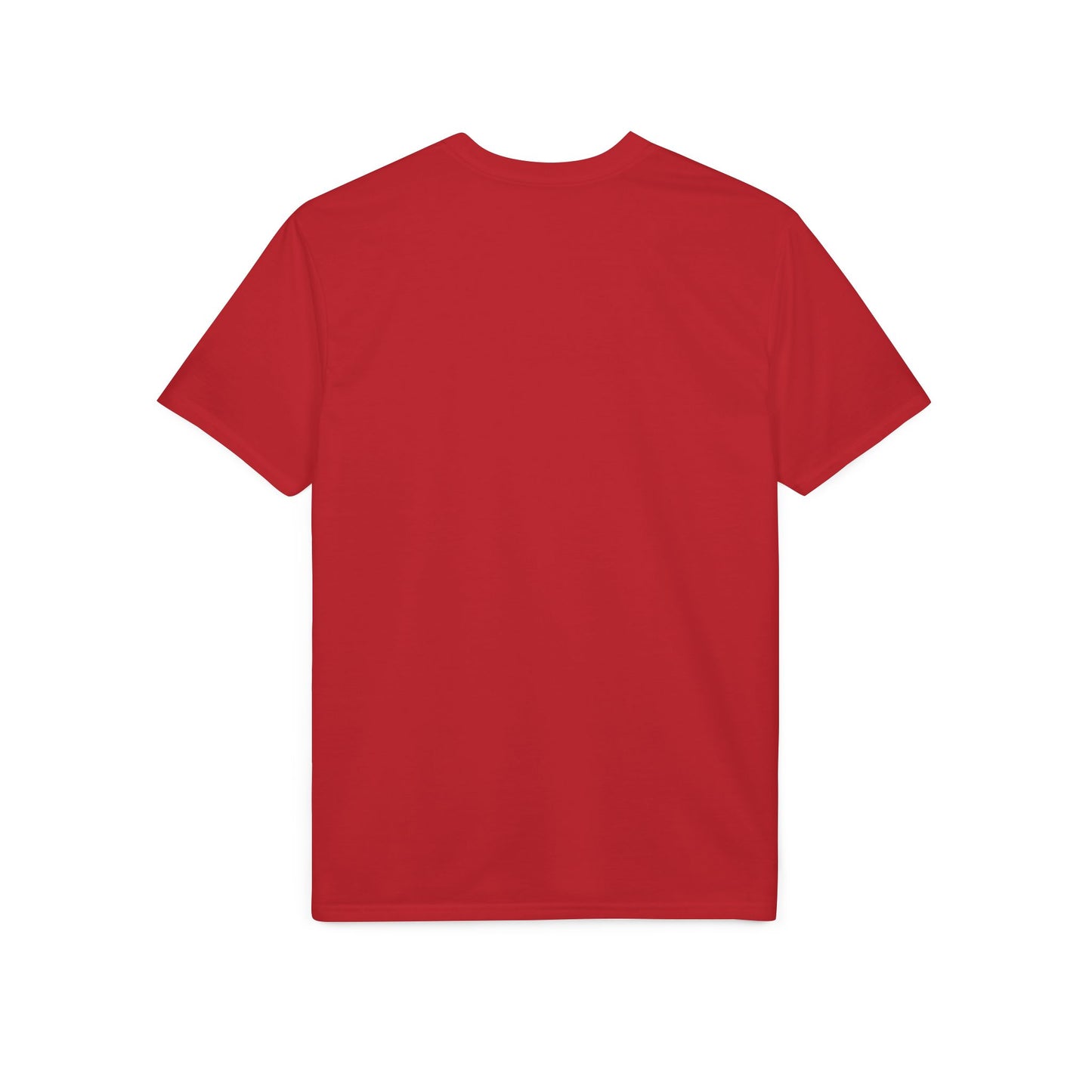 Discipline Over Motivation T-Shirt — Stoic Statue Fitness Tee